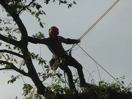 pose cloture à Mesnil-roc'h - image 3