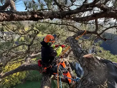 pose cloture Mesnil-roc'h-5