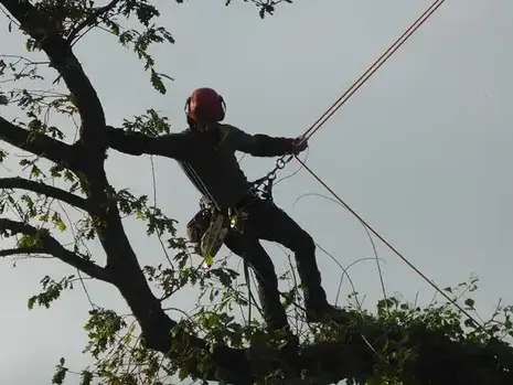 pose cloture Plouër-sur-rance-1