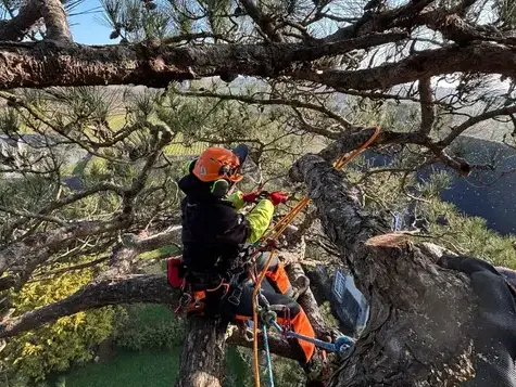 pose cloture à Plouër-sur-rance - image 4