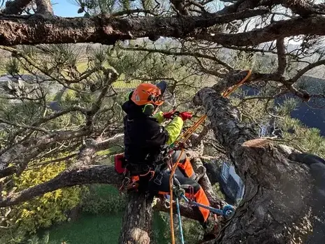 pose cloture à Saint-Grégoire - image 3
