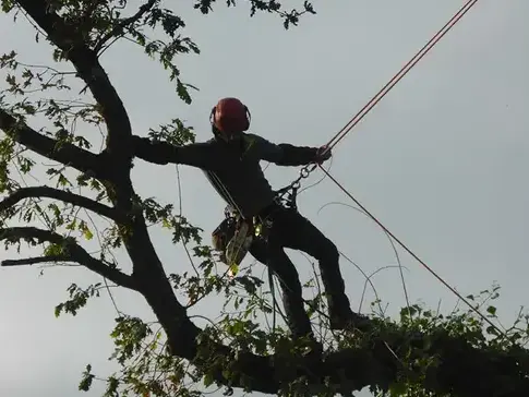 pose cloture à Saint-Grégoire - image 4