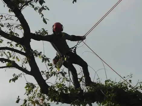 pose cloture à Saint-Malo - image 2