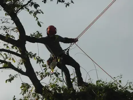 pose cloture à Tinténiac - image 3