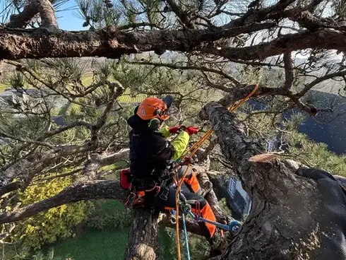 pose cloture à Tinténiac - image 4