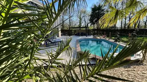 taille d'arbre à Combourg - image 4