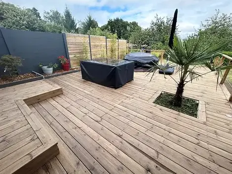 taille d'arbre à Dinan - image 2