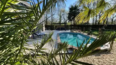 taille d'arbre à Plouër-sur-rance - image 4