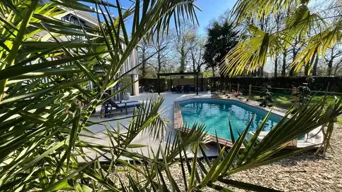 taille d'arbre à Saint-Grégoire - image 2