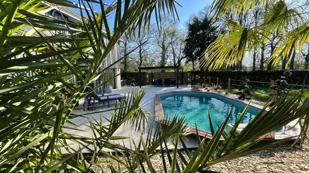 taille d'arbre à Saint-Malo - image 4