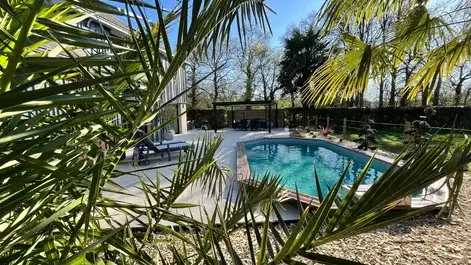 taille d'arbre à Tinténiac - image 2